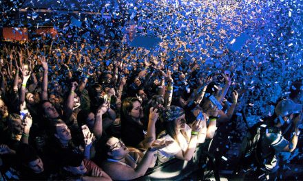 The Crowd Effect: Why Emotional Drops Define EDM Experiences 